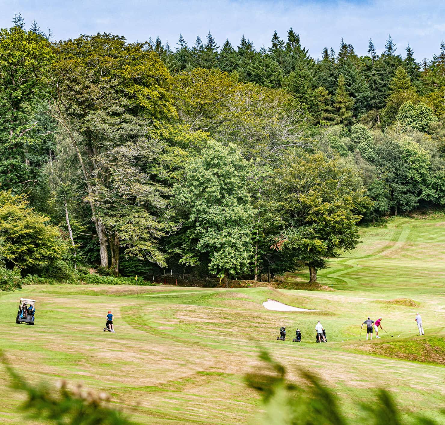 Golfers on a green stretching into the distance with trees and blue sky at Sidmouth Golf Club